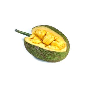 Premium Jackfruit - High Quality Bulk Supply