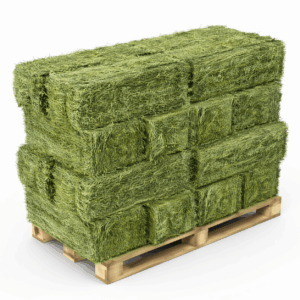 Premium Alfalfa Hay for Bulk Orders