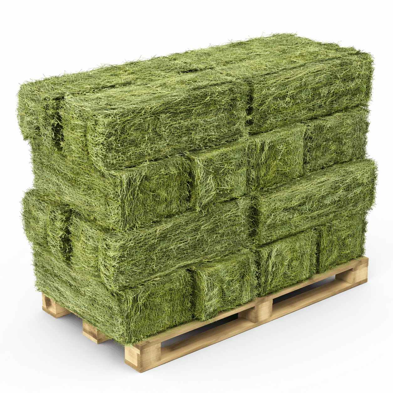 Premium Alfalfa Hay for Bulk Orders