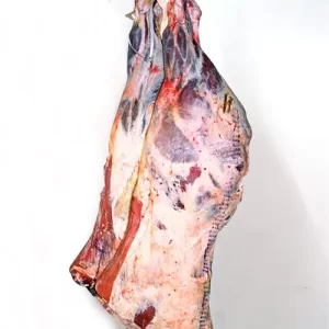Frozen Beef Hind Quarter
