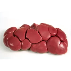 Frozen Beef Kidney