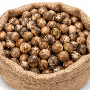 Premium Betel Nut - Fresh & Natural