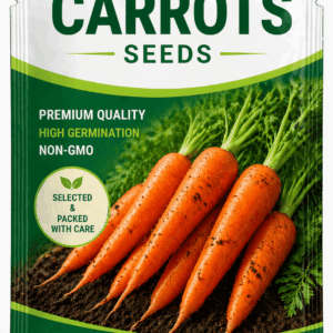 Carrot Seeds for Bulk Cultivation