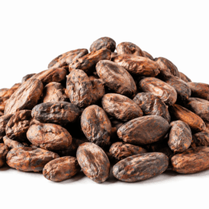 Premium Cocoa Beans β Rich, Natural & High Quality
