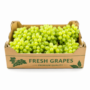Fresh Grapes
