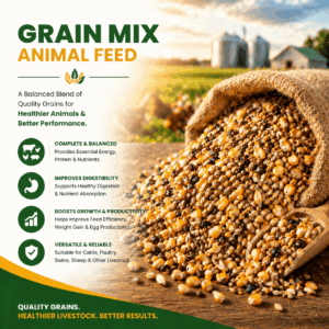 Grain Mix For Animal Feed