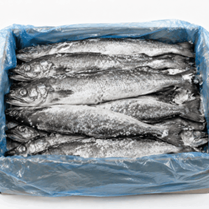 Hake Fish - Premium Quality Fresh & Frozen
