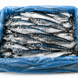 Mackerel Fish - Fresh & Frozen Mackerel