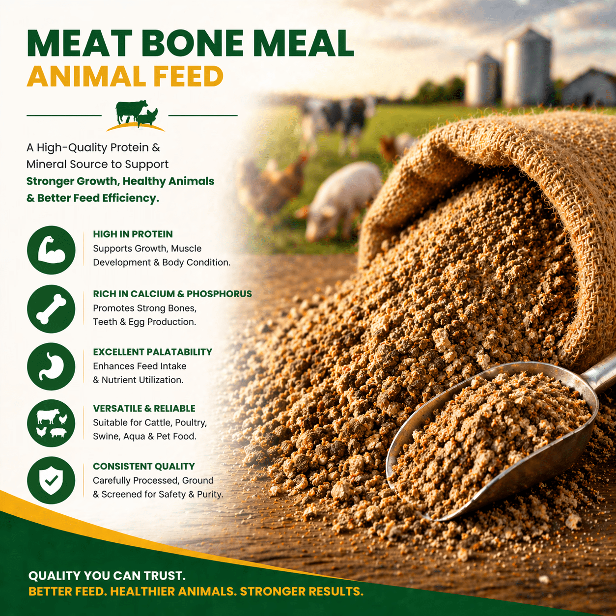 Meat Bone Meal For Animal Feed