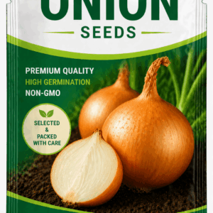 Onion Seeds