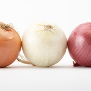 Fresh Onions