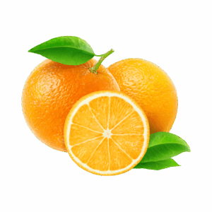 Fresh Orange - Juicy & Sweet Natural Citrus Fruit