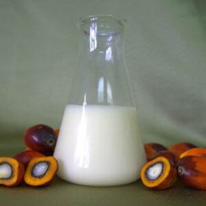 Non-GMO Palm Oil Stearin