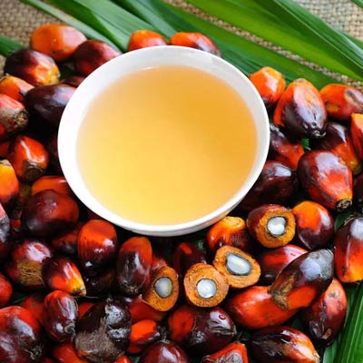 Organic Palm Oil