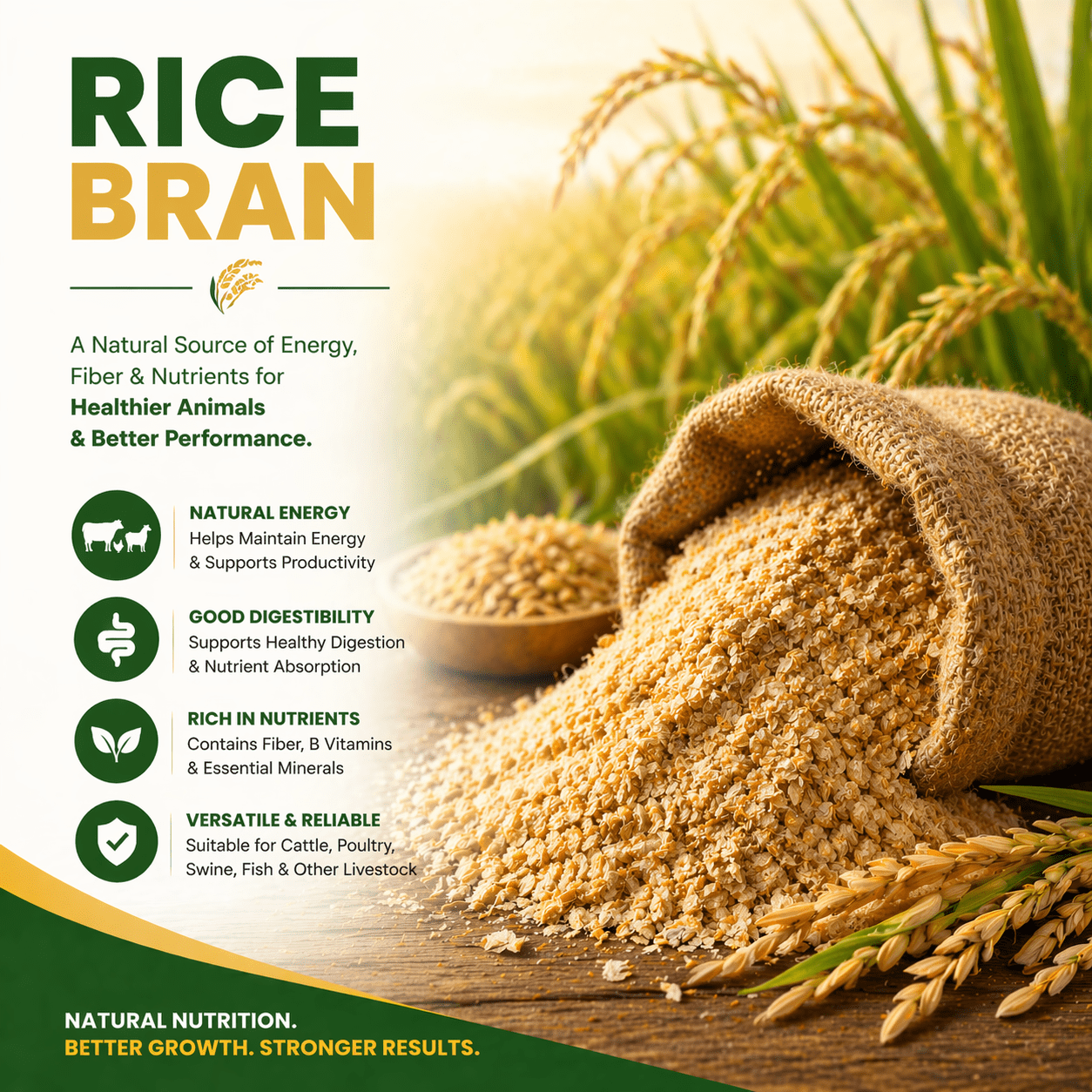 Rice Bran For Animal Feed