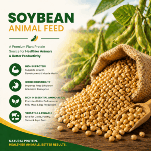 Soybean Meal For Animal Feed