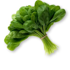 Fresh Spinach