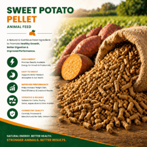 Sweet Potato Pellets For Animal Feed