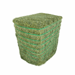 Premium Timothy Hay