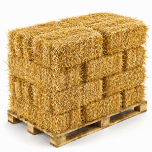 Wheat Straw