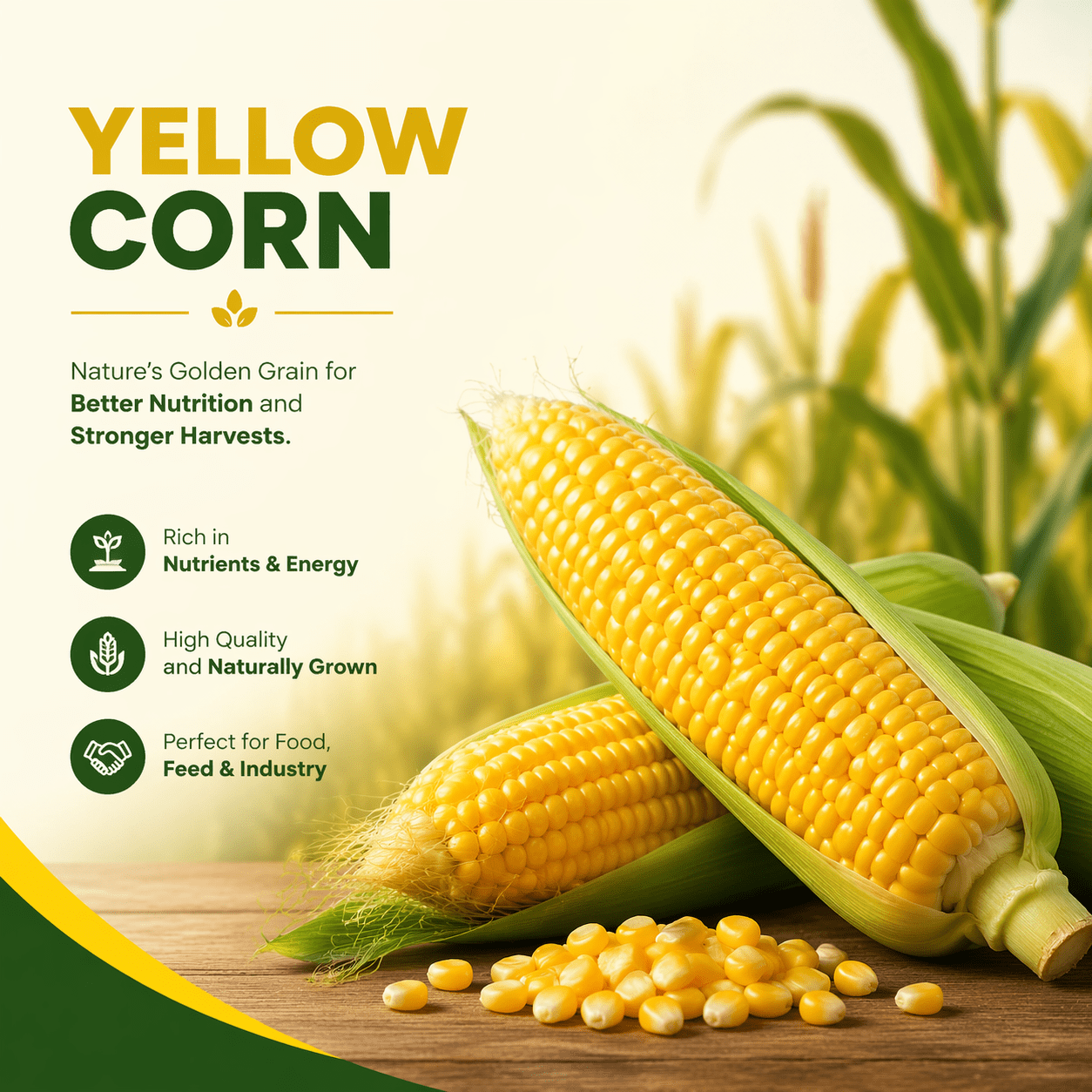 Yellow Corn