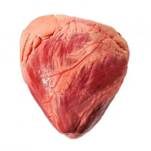 Frozen Beef Heart