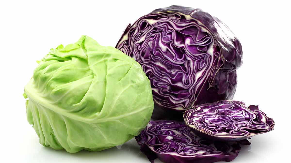 Fresh Premium Cabbage