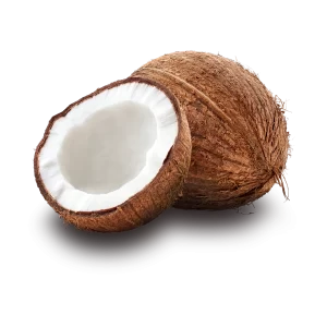 Fresh Coconut
