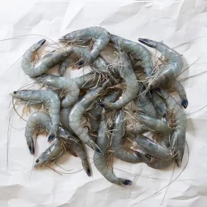 Frozen Prawns