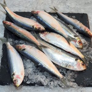 Sardines - Premium Quality Fresh & Canned Sardines