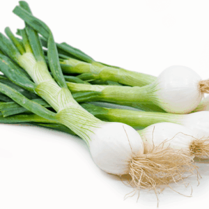 Fresh Spring Onions